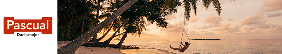 Solicitud de Viaje - Pascual