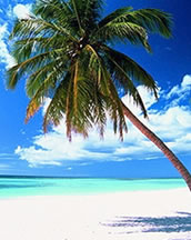 Islas del Caribe