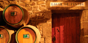 Bodega Lagar de Pintos
