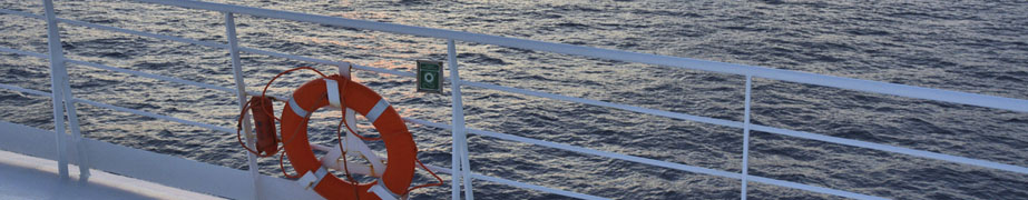 Cruceros en Febrero
