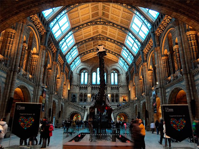 Museo de Historia Natural de Londres