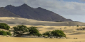 Desierto