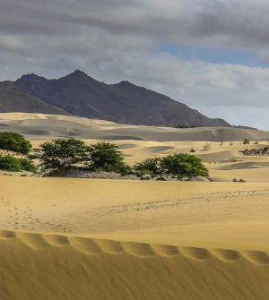 Desierto