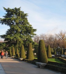 Jardines y Parques