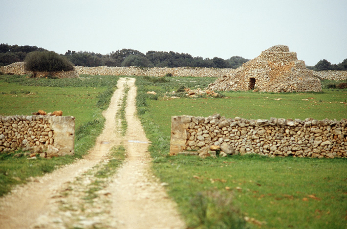 Camino