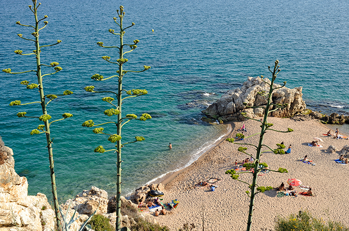 Calella Roca Grossa