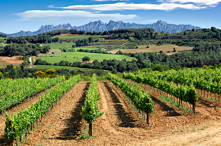 Penedès y Montserrat