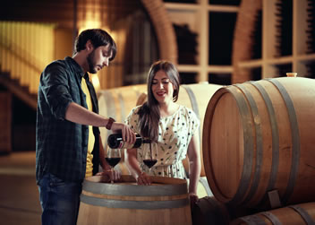 Bodegas de Castilla y León