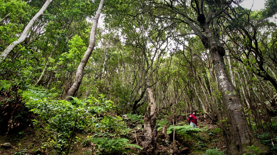 Parque Rural Anaga