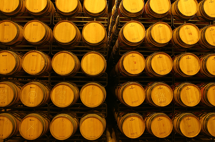 Barricas Bodega