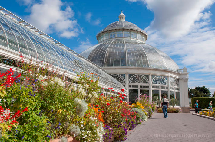 Jardín Botánico