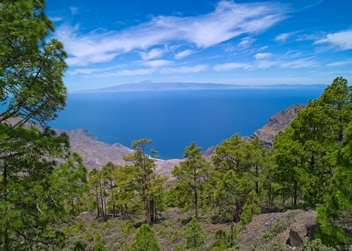 Parque Natural de Tamadaba