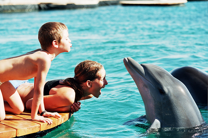 Arrecife delfines Eilat