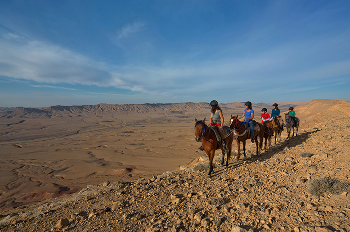 Paseo caballo desierto