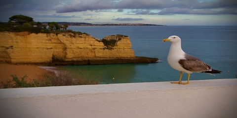 Hoteles en Albufeira