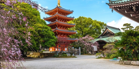 Vuelo más hotel a Fukuoka