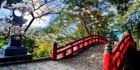 Hoteles en Hakone