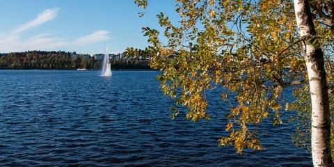 Vuelo más hotel a Jyvaskyla