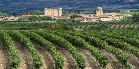 Viajes a Logroño