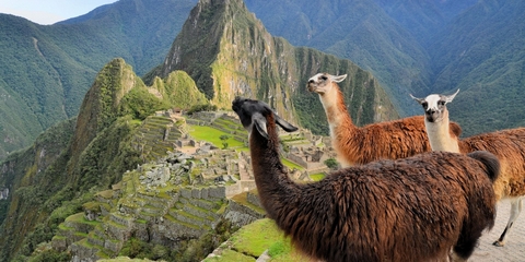 Viajes a Machu Picchu