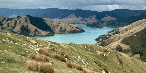 Viajes a Nelson