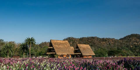 Viajes a Pak Chong