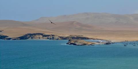 Hoteles en Paracas