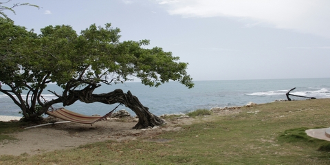 Viajes a Port Antonio