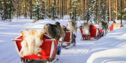 Vuelo más hotel a Rovaniemi