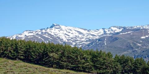 Viajes a Sierra Nevada