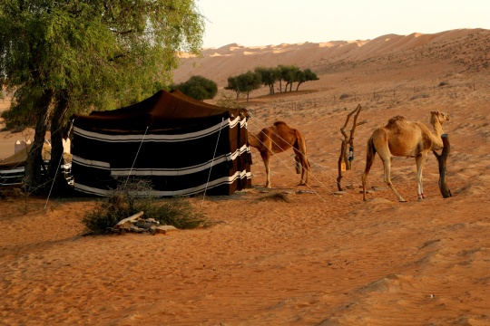 Experiencias en el desierto de Omán