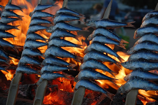 Espetos, arroz y mucha comida te espera en Torremolinos