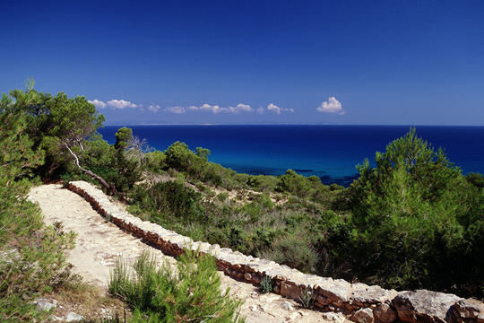 Excursiones y actividades por toda la isla