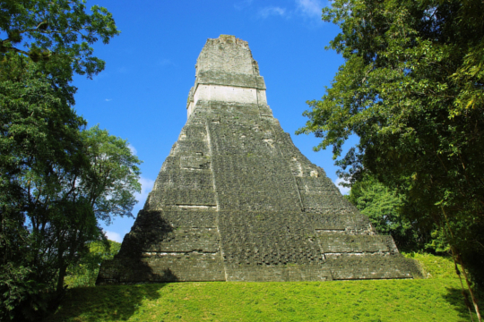 Descubre las Ruinas de Tikal en plena selva