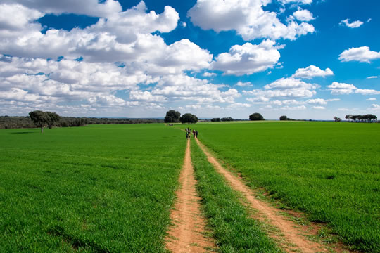 Explora los entornos naturales de la Comunidad de Madrid