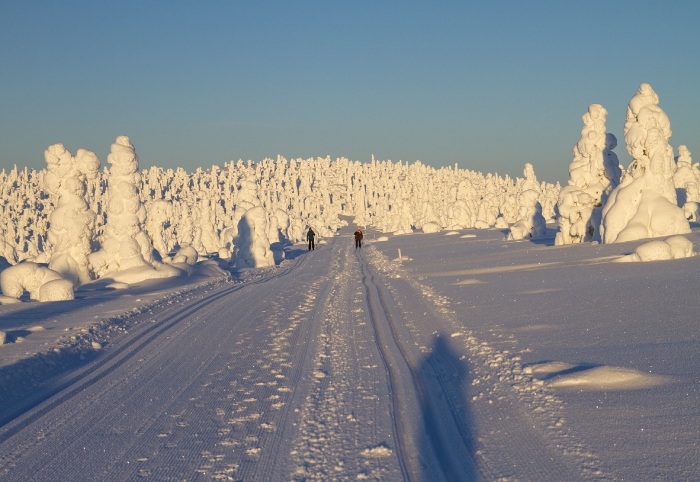 Parque Nacional de Pyhä-Luosto