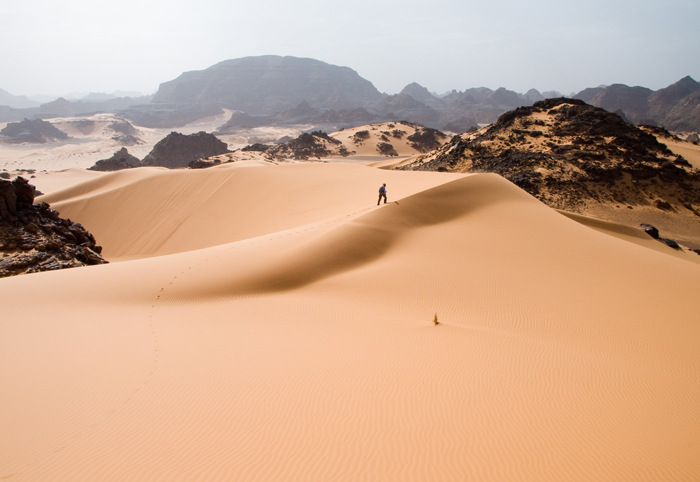 Desierto del Sahara Desierto del Sahara