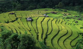 Bellezas de Vietnam y Sapa