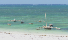 Lo Mejor de Kenia y Playa