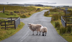 Lo mejor de Escocia e Irlanda