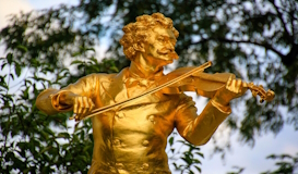 Viena cultural con concierto de Navidad