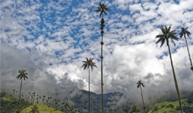 Cartagena y Eje Cafetero