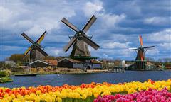 Crucero por el Rin: Alemania - Países Bajos