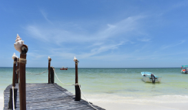 Vacaciones en Riviera Maya y Holbox