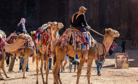 Jordania fascinante: Amman, Petra y Wadi Rum