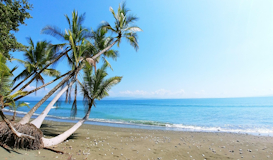 Costa Rica Mágica y Guanacaste (Opción con Traslados)
