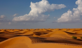Túnez: Encanto del Desierto