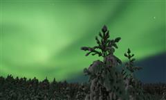 Bajo la Aurora Boreal en Saariselka
