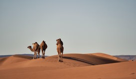 Marrakech