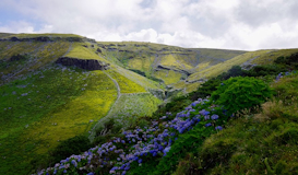 Fin de Año Terceira y Sao Miguel 